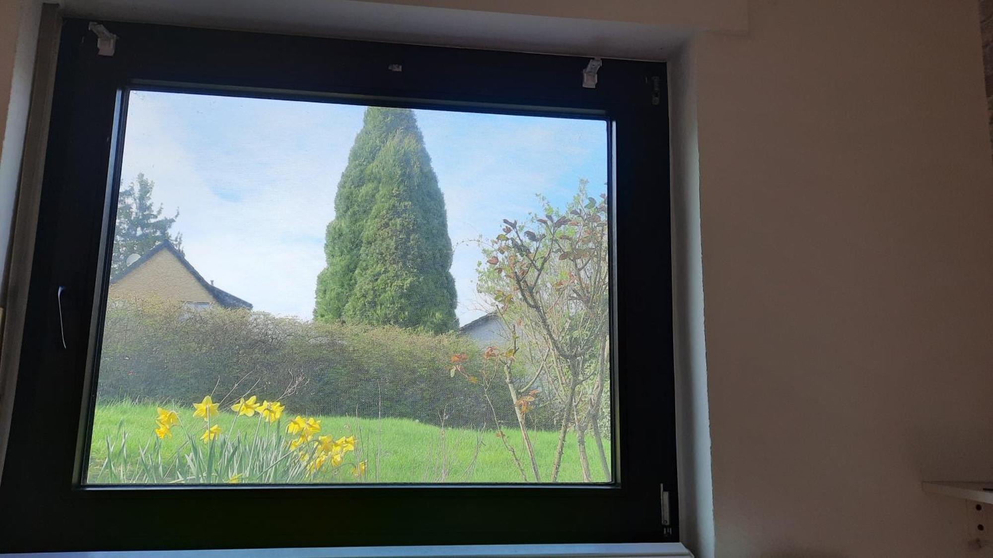 Kleine In Ruhiger Lage Apartment